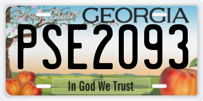 GA license plate PSE2093
