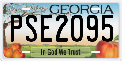 GA license plate PSE2095