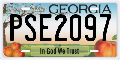 GA license plate PSE2097