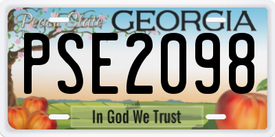 GA license plate PSE2098
