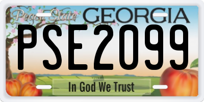 GA license plate PSE2099