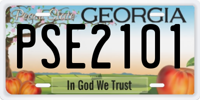 GA license plate PSE2101