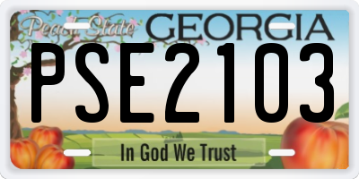 GA license plate PSE2103