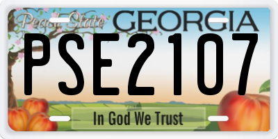 GA license plate PSE2107