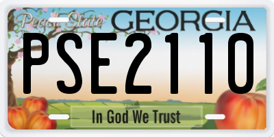 GA license plate PSE2110
