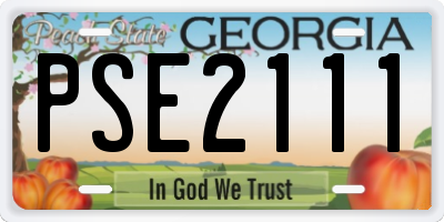 GA license plate PSE2111