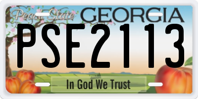 GA license plate PSE2113