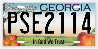 GA license plate PSE2114
