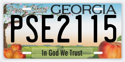 GA license plate PSE2115