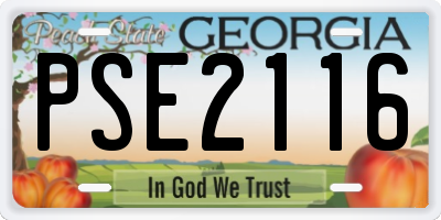 GA license plate PSE2116