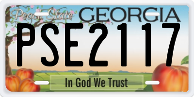 GA license plate PSE2117