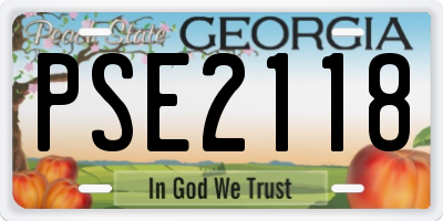 GA license plate PSE2118