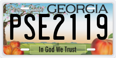 GA license plate PSE2119