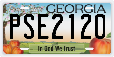 GA license plate PSE2120