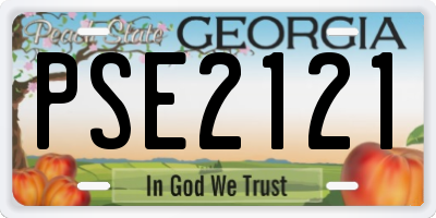 GA license plate PSE2121
