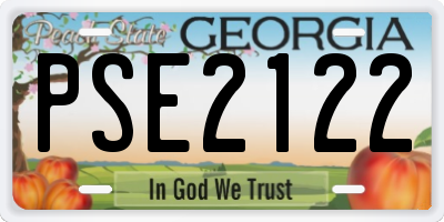 GA license plate PSE2122