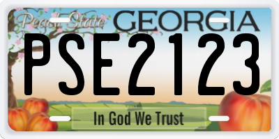 GA license plate PSE2123