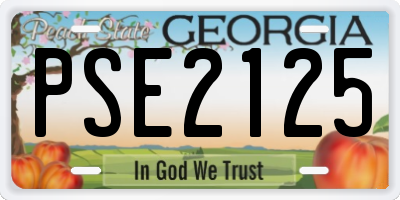 GA license plate PSE2125