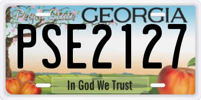 GA license plate PSE2127