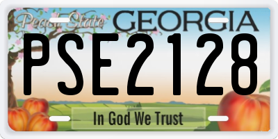 GA license plate PSE2128