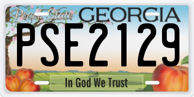 GA license plate PSE2129
