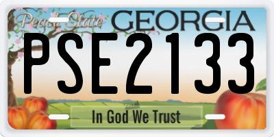 GA license plate PSE2133