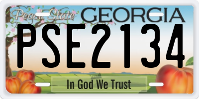GA license plate PSE2134