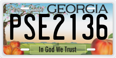 GA license plate PSE2136