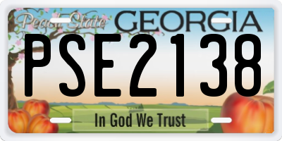 GA license plate PSE2138