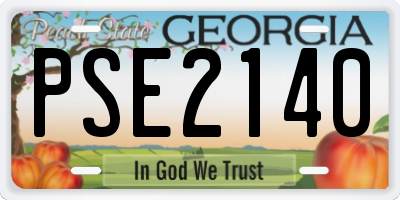 GA license plate PSE2140