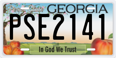 GA license plate PSE2141