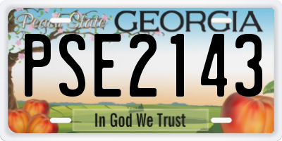GA license plate PSE2143