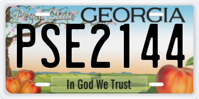 GA license plate PSE2144
