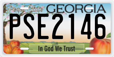 GA license plate PSE2146