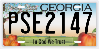 GA license plate PSE2147