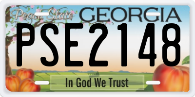 GA license plate PSE2148