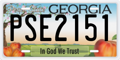 GA license plate PSE2151