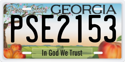 GA license plate PSE2153