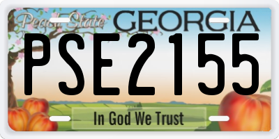 GA license plate PSE2155