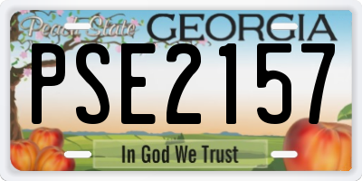 GA license plate PSE2157