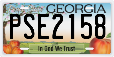 GA license plate PSE2158