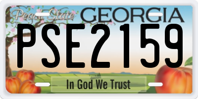GA license plate PSE2159