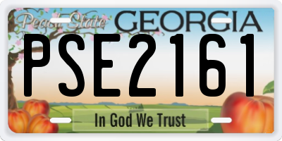 GA license plate PSE2161