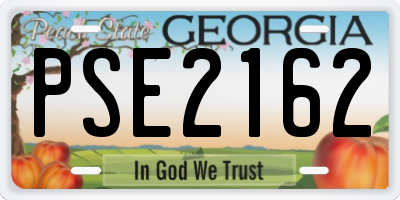 GA license plate PSE2162