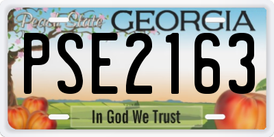 GA license plate PSE2163