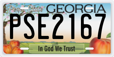 GA license plate PSE2167