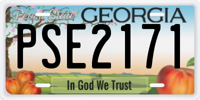 GA license plate PSE2171