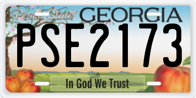 GA license plate PSE2173