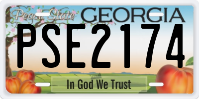 GA license plate PSE2174