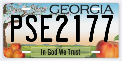 GA license plate PSE2177